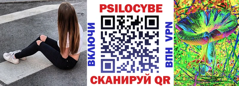 Псилоцибиновые грибы Psilocybe  Верхняя Пышма 